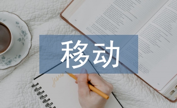 移動互聯(lián)網(wǎng)市場分析