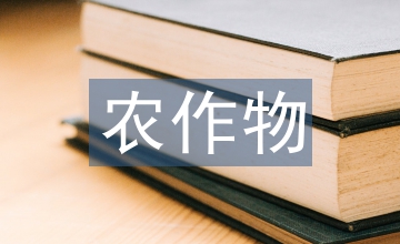 農(nóng)作物種業(yè)科技創(chuàng)新論文