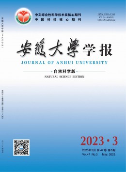 安徽大學(xué)學(xué)報(bào)·自然科學(xué)版